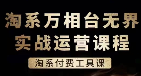 淘系万相台无界实战运营课,淘系付费工具课-风淘社