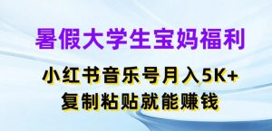 暑假大学生宝妈福利,小红书音乐号月入5000+,复制粘贴就能赚钱【揭秘】-风淘社