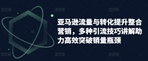 亚马逊流量与转化提升整合营销,多种引流技巧讲解助力高效突破销量瓶颈-风淘社