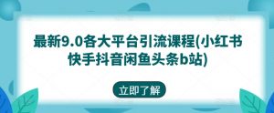 最新9.0各大平台引流课程(小红书快手抖音闲鱼头条b站)-风淘社
