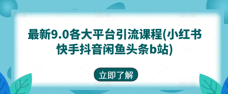 最新9.0各大平台引流课程(小红书快手抖音闲鱼头条b站)-风淘社