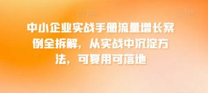 中小企业实战手册流量增长案例全拆解,从实战中沉淀方法,可复用可落地-风淘社