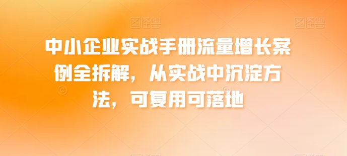 中小企业实战手册流量增长案例全拆解,从实战中沉淀方法,可复用可落地-风淘社