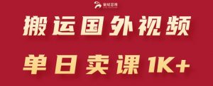 搬运国外视频，引流创业粉，单日卖课1K+【揭秘】-风淘社