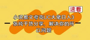 小说推文夸克UC大佬日入3张纯干货分享,解决你的所以问题-风淘社