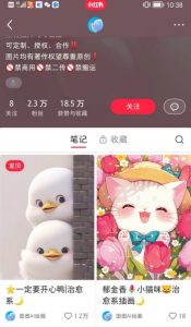 小红书快速涨粉神器，利用AI制作小红书爆款笔记【揭秘】-风淘社