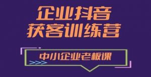 企业抖音营销获客增长训练营，中小企业老板必修课-风淘社