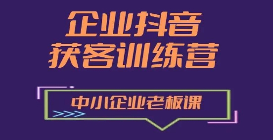 企业抖音营销获客增长训练营,中小企业老板必修课-风淘社