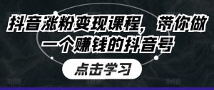 抖音涨粉变现课程,带你做一个赚钱的抖音号-风淘社