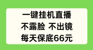 一键挂JI直播，不露脸不出境，每天保底66元【揭秘】-风淘社