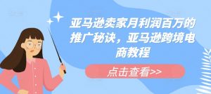 亚马逊卖家月利润百万的推广秘诀,亚马逊跨境电商教程-风淘社