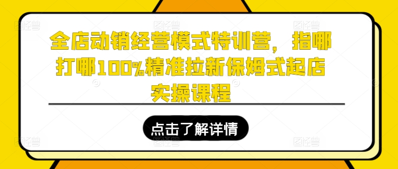 全店动销经营模式特训营,指哪打哪100%精准拉新保姆式起店实操课程-风淘社
