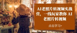 AI老照片转视频实战营,一线玩家教你AI老照片转视频-风淘社