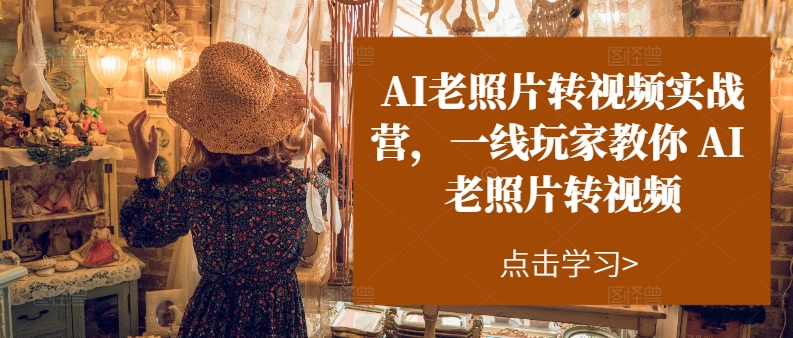AI老照片转视频实战营,一线玩家教你AI老照片转视频-风淘社