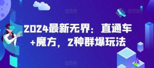 2024最新无界：直通车+魔方，2种群爆玩法-风淘社