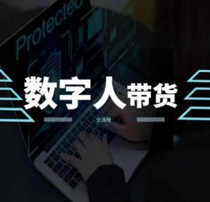 2024火爆AI数字人短视频带货教程,谁说好物流量不好?因为你不懂方法-风淘社