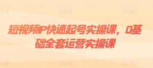 短视频IP快速起号实操课,0基础全套运营实操课,爆款内容设计+粉丝运营+内容变现-风淘社