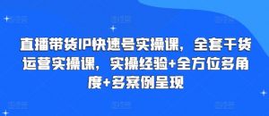 直播带货IP快速号实操课,全套干货运营实操课,实操经验+全方位多角度+多案例呈现-风淘社