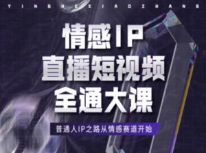 情感IP直播短视频全通大课,普通人IP之路从情感赛道开始-风淘社