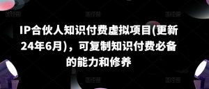 IP合伙人知识付费虚拟项目(更新24年6月),可复制知识付费必备的能力和修养-风淘社