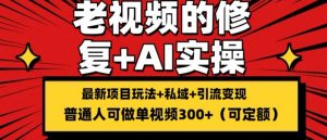 修复老视频的玩法，搬砖+引流的变现(可持久)，单条收益300+【揭秘】-风淘社