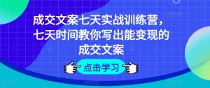 成交文案七天实战训练营，七天时间教你写出能变现的成交文案-风淘社