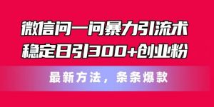 微信问一问暴力引流术，稳定日引300+创业粉，最新方法，条条爆款【揭秘】-风淘社
