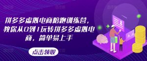 拼多多虚拟电商陪跑训练营，教你从0到1玩转拼多多虚拟电商，简单易上手-风淘社