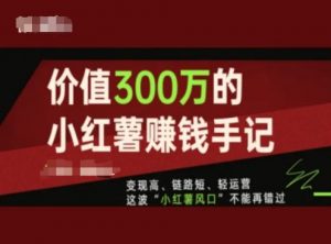 价值300万的小红书赚钱手记,变现高、链路短、轻运营,这波“小红薯风口”不能再错过-风淘社