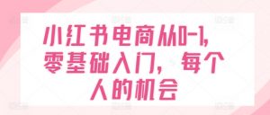 小红书电商从0-1,零基础入门,每个人的机会-风淘社