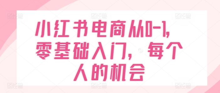 小红书电商从0-1，零基础入门，每个人的机会-风淘社