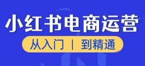小红书电商运营课,从入门到精通,带你抓住又一个赚钱风口-风淘社