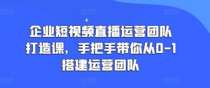 企业短视频直播运营团队打造课,手把手带你从0-1搭建运营团队-风淘社