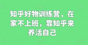 知乎好物训练营，在家不上班，靠知乎来养活自己-风淘社