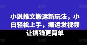 小说推文搬运新玩法，小白轻松上手，搬运发视频让搞钱更简单-风淘社