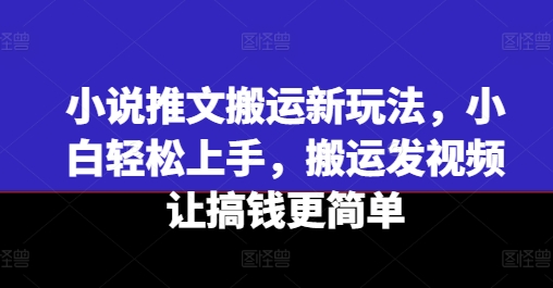 小说推文搬运新玩法，小白轻松上手，搬运发视频让搞钱更简单-风淘社