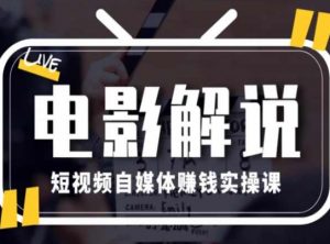 电影解说短视频自媒体赚钱实操课,教你做电影解说短视频,月赚1万-风淘社