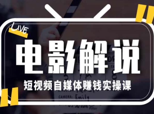 电影解说短视频自媒体赚钱实操课,教你做电影解说短视频,月赚1万-风淘社
