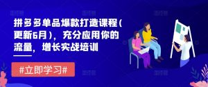 拼多多单品爆款打造课程(更新6月),充分应用你的流量,增长实战培训-风淘社