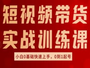 短视频带货实战训练课，好物分享实操，小白0基础快速上手，0到1起号-风淘社