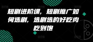 短剧进阶课，短剧推广如何选剧，选剧选的好吃肉吃到饱-风淘社