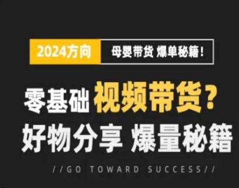 短视频母婴赛道实操流量训练营,零基础视频带货,好物分享,爆量秘籍-风淘社