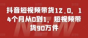 抖音短视频带货12.0,14个月从0到1,短视频带货90万件-风淘社