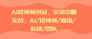 AI短视频创业,实体流量实战,AI/短视频/直播/私域/团队-风淘社