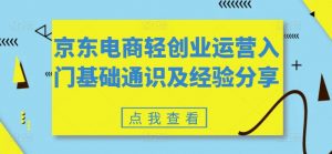 京东电商轻创业运营入门基础通识及经验分享-风淘社
