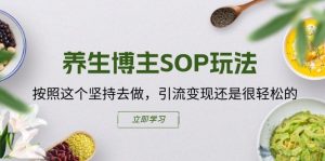 养生博主SOP玩法，按照这个坚持去做，引流变现还是很轻松的-风淘社