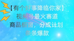 【有个好事降临你家】视频号爆火赛道，商品橱窗，分成计划，条条爆款【揭秘】-风淘社