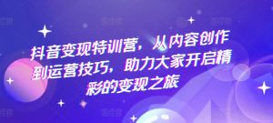 抖音变现特训营，从内容创作到运营技巧，助力大家开启精彩的变现之旅-风淘社