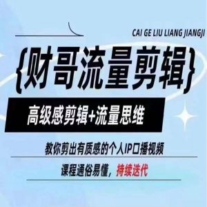 财哥流量剪辑,高级感剪辑+流量思维,教你剪出有质感的个人IP口播视频-风淘社