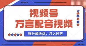 利用方言配音视频，赚视频号分成计划收益，操作简单，还有千粉号额外变现，每月多赚几千块钱【揭秘】-风淘社